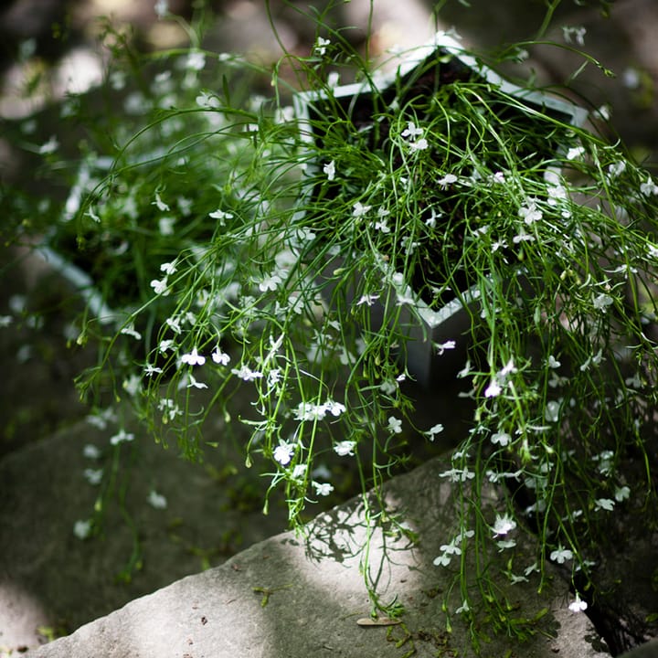 Stjärnkruka potte, Aluminium, lav Ø23 cm Byarums bruk