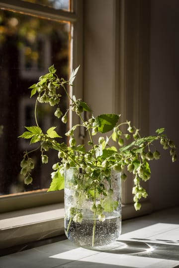 Ernst boblete glassvase 18 cm - Klar - ERNST