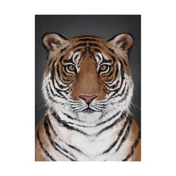 Tiger poster - 30x40 cm - Kunskapstavlan®