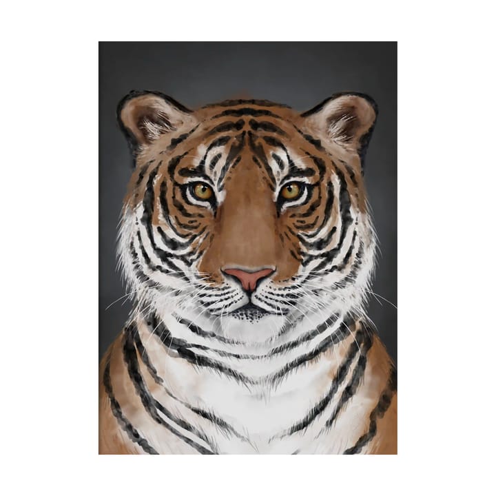 Tiger poster, 30x40 cm Kunskapstavlan®