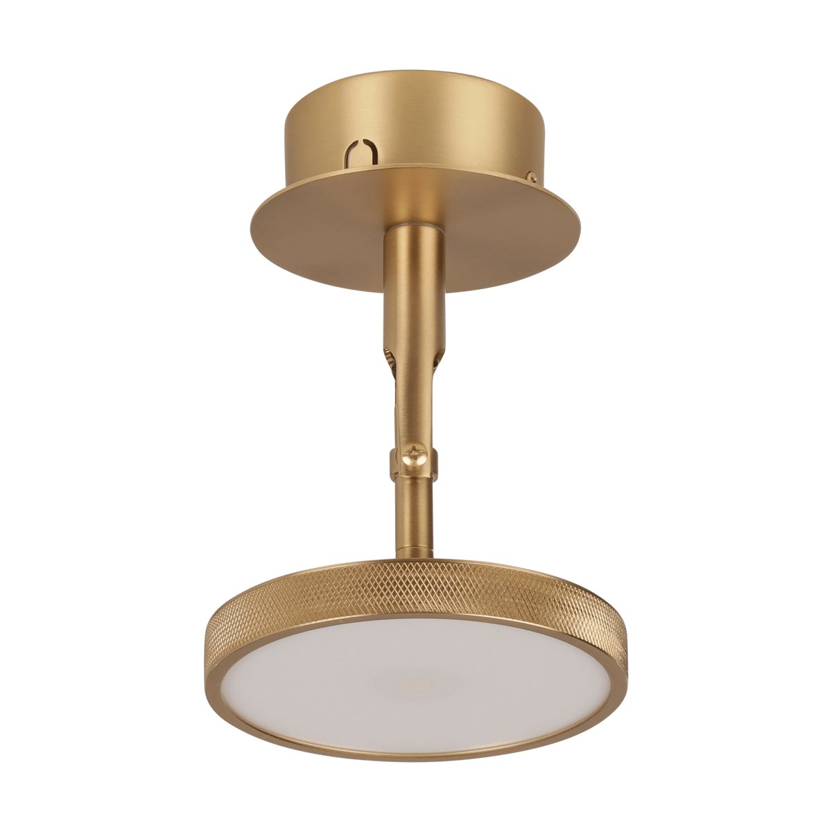 Bilde av Umage Asteria Spot tak- og vegglampe Ø12 cm Polished brass