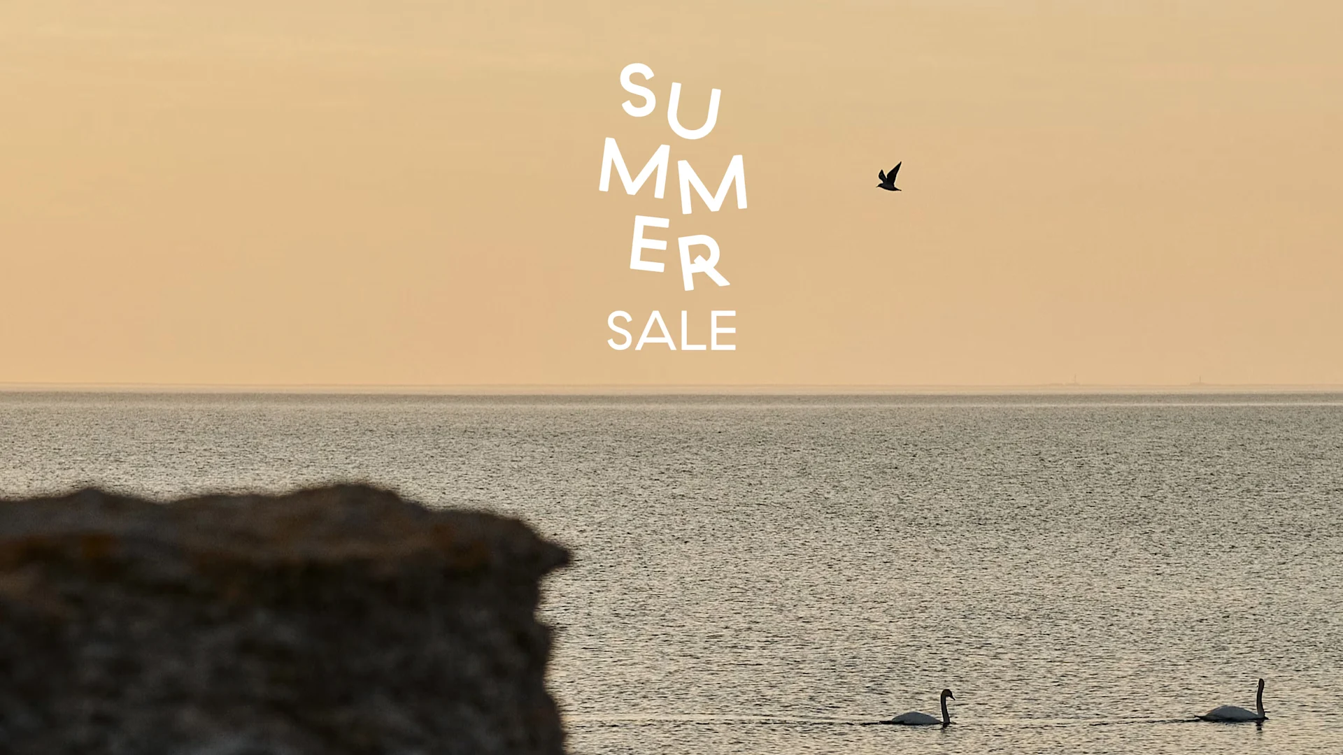 Tekst 'Summer Sale' over en rolig havscene med to svaner og en fugl som flyr under en varm himmel.