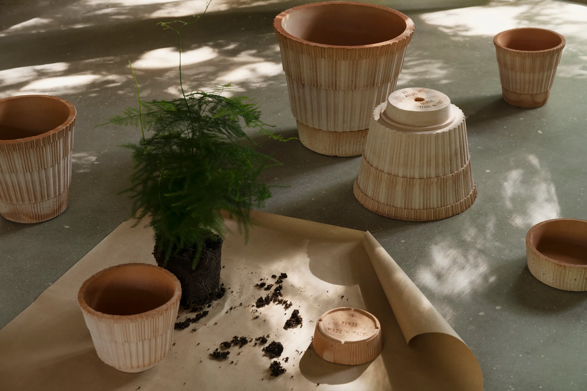 Plante pottes om med flere riflede terrakottapotter og fat på brunt papir.