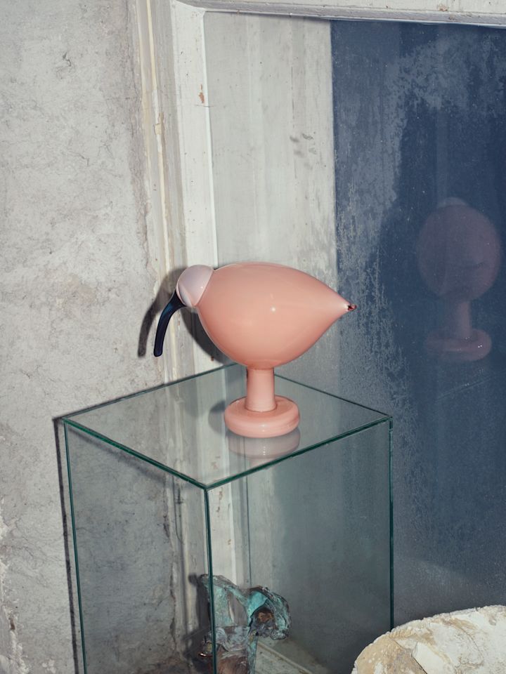 Birds by Toika fugl i lakserosa som står på en glasskube.